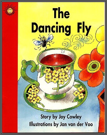 Principle 6_ The Dancing Fly cover